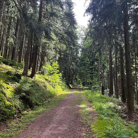Gaestehaus Im Erzgebirge Zwoenitz Bagian luar foto
