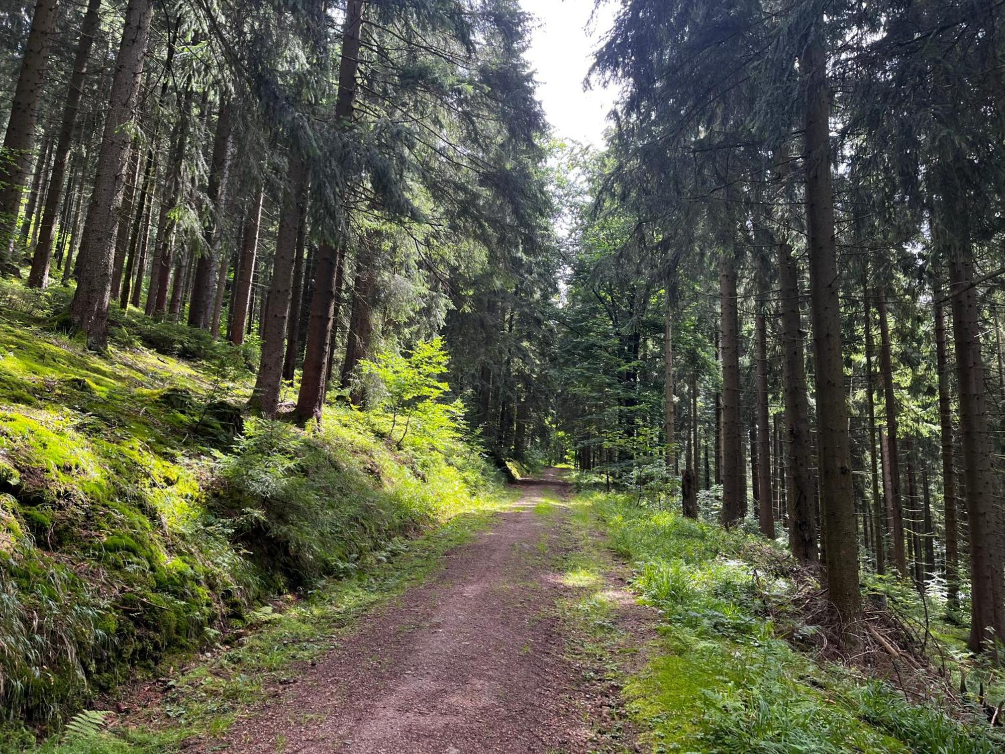 Gaestehaus Im Erzgebirge Zwoenitz Bagian luar foto